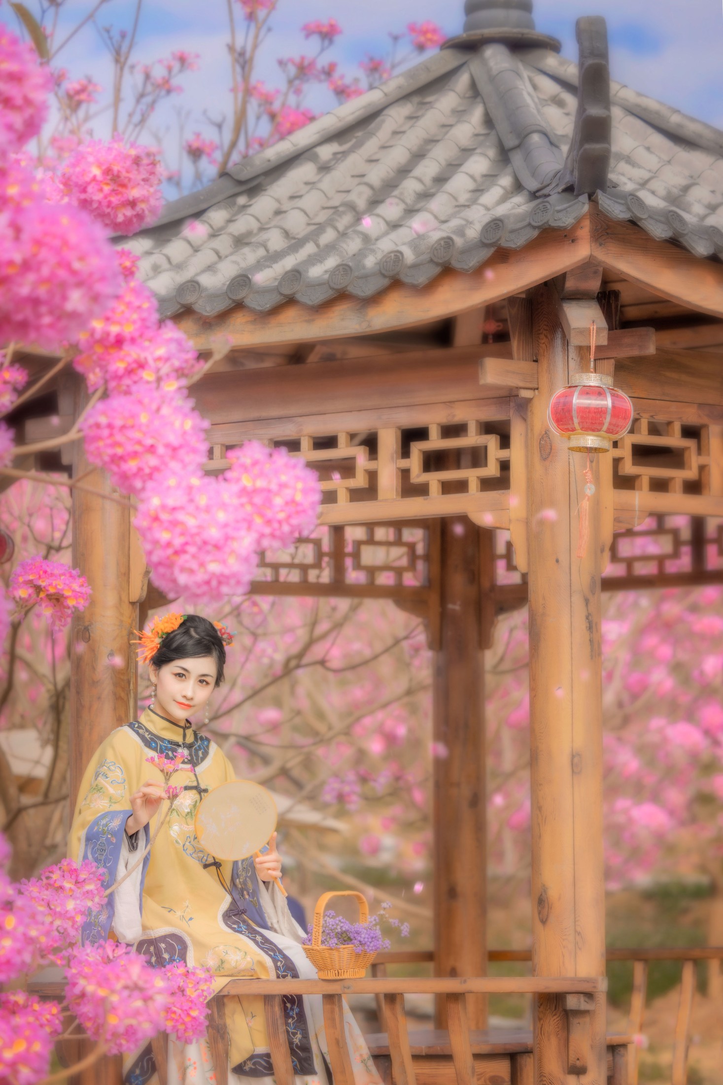 糖糖 – 《风铃晚》[15P]